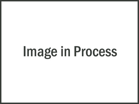 Vibrant Air Filters 10962